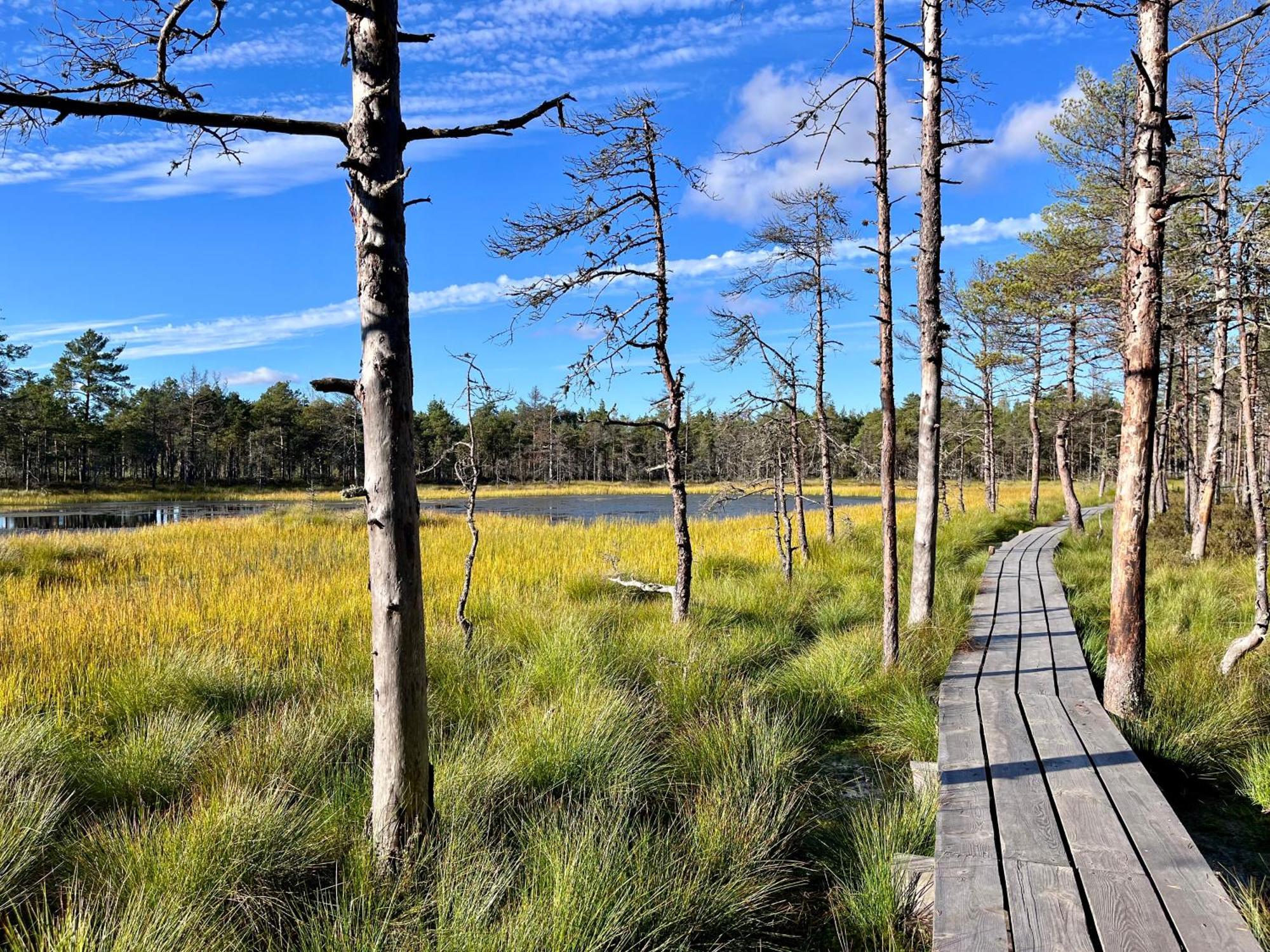 Hotel Kakupesa Puhkemaja Hara Esterno foto