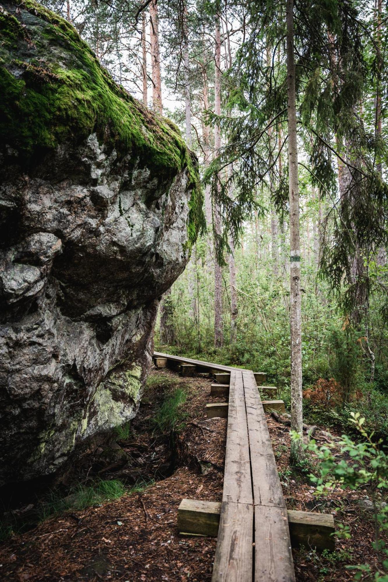 Hotel Kakupesa Puhkemaja Hara Esterno foto